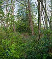 Gronsfurther Berge, Rendsburg (P1100739-Pano).jpg