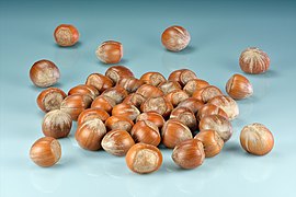 Hazelnuts (Corylus avellana).jpg