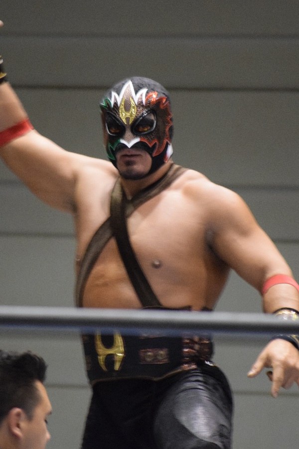 Hechicero in January 2017