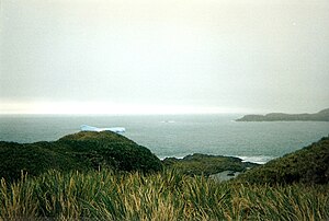 Die Hercules Bay im Dezember 1996