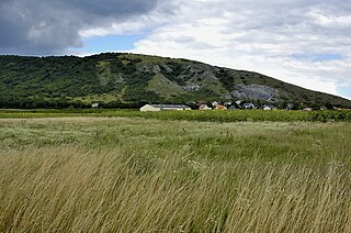 <span class="mw-page-title-main">Hundsheimer Berge</span> Hill range in Austria