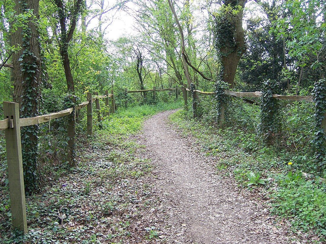 Sendero ecuestre