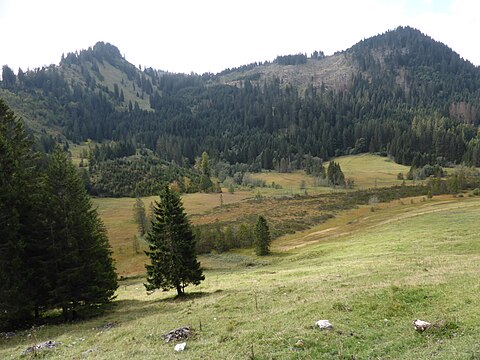 Hochmoor Strausberg Moos am Fuße des Imberger Horns, Gerenkopf und Sonthofer Hörnle,