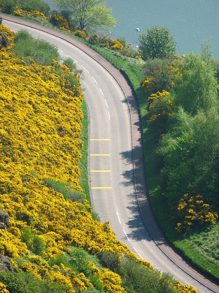 File:Holyrood Park - geograph.org.uk - 791469.jpg