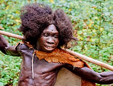 Reconstruction of Turkana boy who lived 1.5 to 1.6 million years ago Homo-erectus Turkana-Boy (Ausschnitt) Fundort Nariokotome, Kenia, Rekonstruktion im Neanderthal Museum.jpg