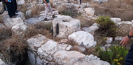 בית בד ביזנטי-איסלאמי דום