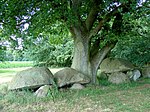 Great stone grave Emmen 5 (D42)