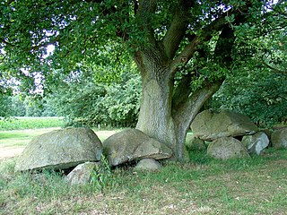 Hunebed D42 op de Schimmer es te Emmen