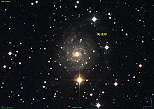 IC 0239 DSS.jpg