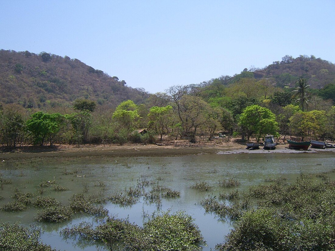 Ilha de Elefanta