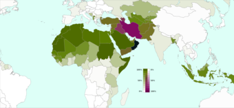 Islam in the modern world .mw-parser-output .div-col{margin-top:0.3em;column-width:30em}.mw-parser-output .div-col-small{font-size:90%}.mw-parser-output .div-col-rules{column-rule:1px solid #aaa}.mw-parser-output .div-col dl,.mw-parser-output .div-col ol,.mw-parser-output .div-col ul{margin-top:0}.mw-parser-output .div-col li,.mw-parser-output .div-col dd{page-break-inside:avoid;break-inside:avoid-column}     Sunni Islam    Shia Islam  Ibadi Islam