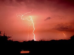 Lightning near Charleston, South Carolina