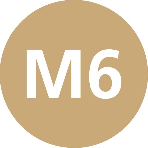 File:Istanbul M6 Line Symbol.svg