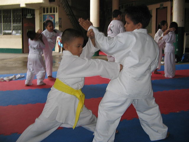 A karateka performing a 'reverse punch' or gyaku zuki being performed by two young boys.