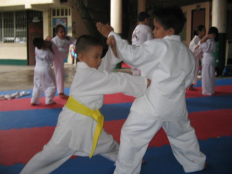 File:JJS Karate Kids on Training.jpg