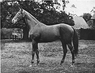 <span class="mw-page-title-main">Jeddah (horse)</span> British Thoroughbred racehorse