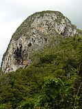 Thumbnail for Cuban dry forests