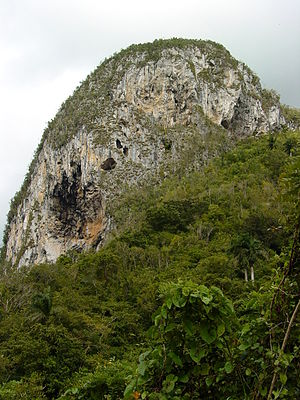 Карстовая гора в провинции Пинар-дель-Рио - Cuba.JPG