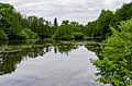 * Nomination Nature reserve “Niepkuhlen” in Krefeld --Carschten 08:34, 15 May 2020 (UTC) * Promotion Good quality -- Spurzem 09:08, 15 May 2020 (UTC)
