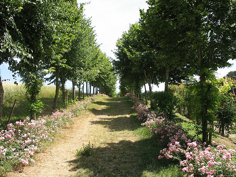 File:La Chatonnière - Azay-le-Rideau Garden 15.jpg