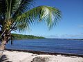 La Guadeloupe, côte Ouest de Basse Terre.jpg