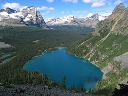 Lac O Hara depuis Yukness Ledge Alpine Route.jpg