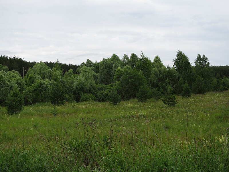 File:Landschaft - panoramio (11).jpg