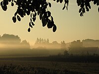 Près du marais.