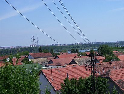 Kako doći do Ledinci pomoću gradskog prevoza - O mestu