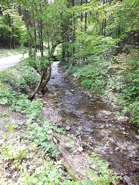 File:Liebochbach Stiwoll Maierhofenweg.jpg