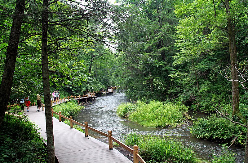 File:Longwanqun national forest park creek 2011 07 25.jpg