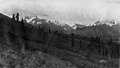 Looking across hillside above Happy River toward mountain peaks, Alaska, August 1914 (AL+CA 3626).jpg