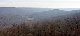 Lost Cove From Rattlesnake Spring Road.jpeg