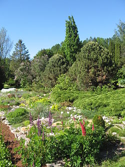 Luua arboretum.jpg