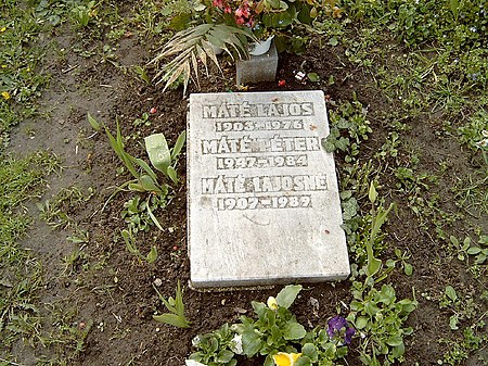 Péter Máté's tomb at the Farkasréti Cemetery