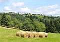 Čeština: Pohled z Mýtinky na Horní Halži, část Měděnce English: View from Mýtinka to Horní Halže, part of Měděnec, Czech Republic.