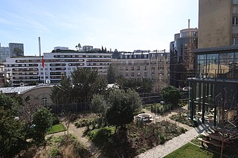 Le jardin après l'installation de la nouvelle entrée.