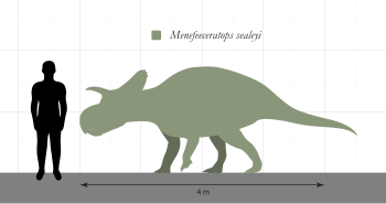 Menefeeceratops Size Comparison.svg