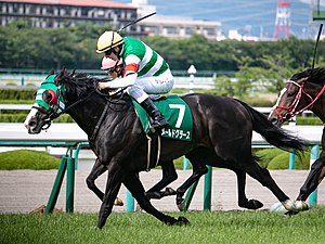 Mer de Glace(JPN) IMG 1134-1 20190601.jpg