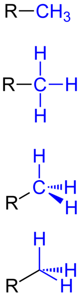 File:Methyl Group General Formulae V.1.png