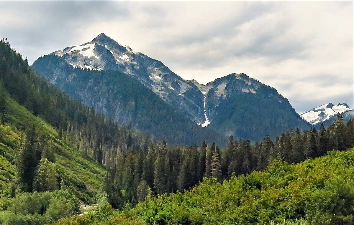 Northern mountains. Босния и Герцеговина растения в Перучица. Munro Trail. Табият фото. Mount Maglic Bosnia and Herzegovina.