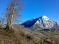 Monte Alpi (2) - panoramio.jpg