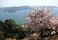 Vue du mont Misen sur l'île