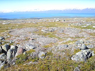 <span class="mw-page-title-main">Frost boil</span> Small circular mounds of fresh soil material formed by frost action and cryoturbation