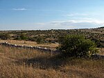 Murge Castel del Monte.jpg