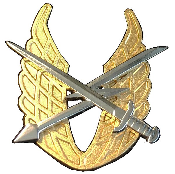 File:NLD embleem JTAC.jpg