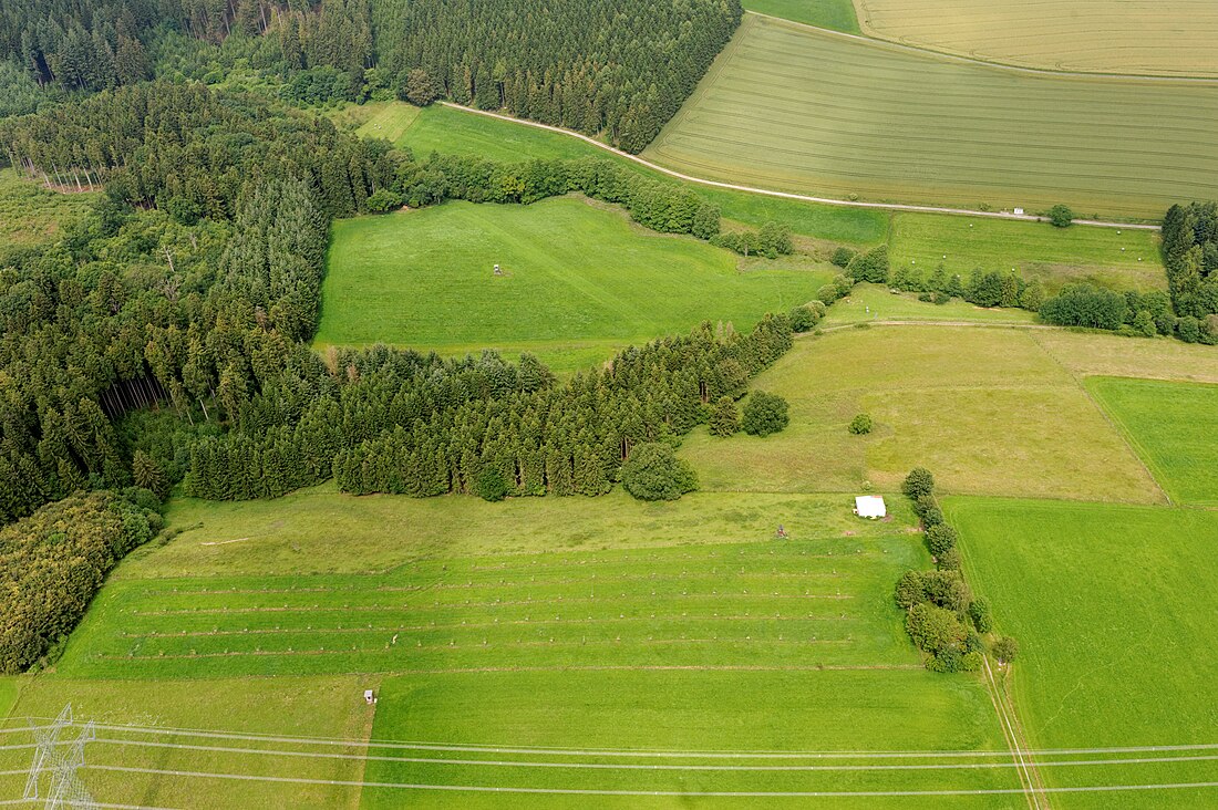 Naturschutzgebiet Goldbachtal