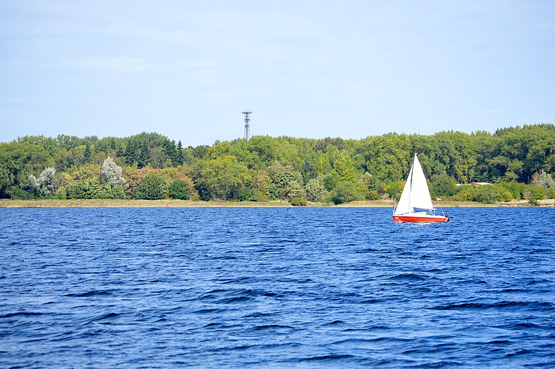 File:NSG Wustrow - Blick vom Salzhaff (36).jpg