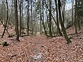 Миниатюра для Файл:Nationalpark Sächsische Schweiz Lorenzlöcher lub 2024-03-16 img02.jpg
