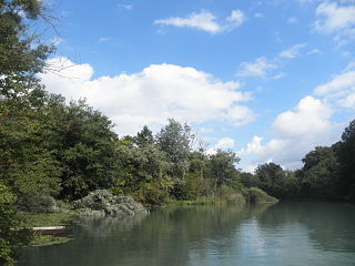 Taubergießen nature reserve in Baden-Württemberg, Germany